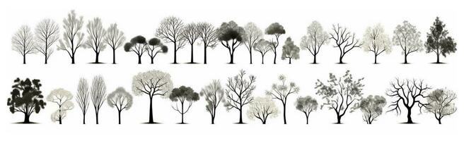 einstellen von verschiedene Bäume auf Weiß - - ai generiert Bild foto