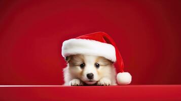 süß Hund im Weihnachtsmänner Hut mit Geschenk Box foto