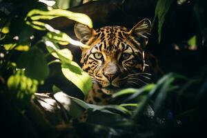 majestätisch Leopard ruhen unter Urwald Baum ai generativ foto