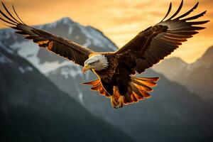 Bild von ein Adler Flug im Mitte Luft ai generativ foto