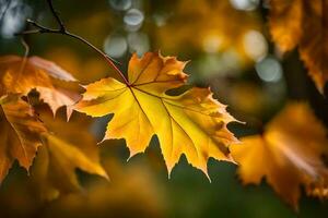 Herbst Blätter, Herbst, Herbst Blätter, Herbst Blätter, Herbst Blätter, Herbst Blätter, Herbst. KI-generiert foto