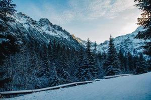 Landschaft der schneebedeckten Gipfel der Rocky Mountains bei sonnigem Wetter foto