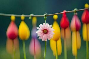 bunt Blumen hängend von ein Kabel. KI-generiert foto