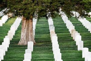Grabsteine auf dem Friedhof von Arlington