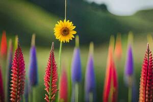 Foto Hintergrund das Himmel, Blumen, das Sonne, Blumen, das Sonne, Blumen, das Sonne. KI-generiert