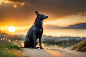 ein schwarz Hund Sitzung auf das Strand beim Sonnenuntergang. KI-generiert foto