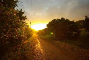 Sonnenlicht des Sonnenuntergangs und eine unbefestigte Straße auf dem Land foto