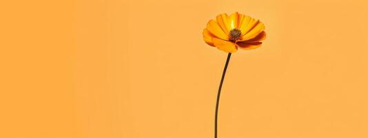 ein modern und minimalistisch Banner mit ein Single Stengel von ein Blume, mit sauber Linien und Fett gedruckt Farben, Hervorheben das Eleganz und Einfachheit von Natur. generativ ai foto