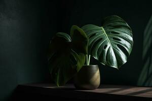 ein Monstera Pflanze angezeigt im ein Vase mit ein Sinn von natürlich und organisch Dekor. generativ ai foto