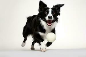 ein spielerisch, Aktion Schuss von ein Hund glücklich fangen ein Spielzeug Ball, Erfassen das Hunde Energie, Beweglichkeit, und Liebe zum Spielzeit auf Weiß Hintergrund. generativ ai foto