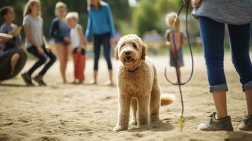 jedermann liebt das Spaß von ein Hund Park voll von spielerisch Haustiere mit ihr freunde und Familien. generativ ai foto