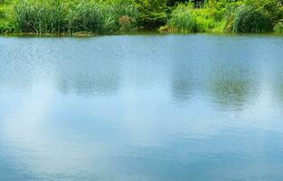 Blau Himmel Betrachtung von das Wiese im das Wasser und Grün Gräser Kanten foto