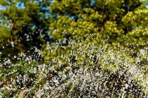 Selektiver Fokus auf Spray des städtischen Brunnens und unscharfen Hintergrund foto