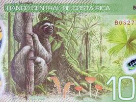 Mangrove Sumpf und weißköpfig Kapuziner von Costa Rican Geld foto