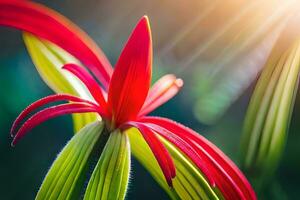 ein rot Blume mit Grün Blätter im das Sonne. KI-generiert foto