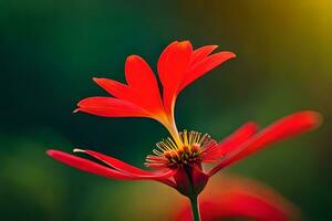 ein rot Blume mit ein Gelb Center ist gezeigt. KI-generiert foto