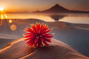 ein rot Blume sitzt auf das Sand beim Sonnenuntergang. KI-generiert foto