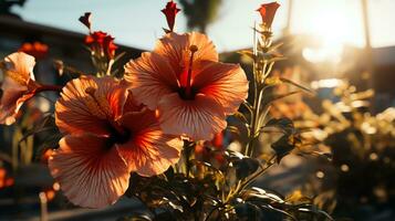 Sonnenblume mit Regentropfen ai generativ foto