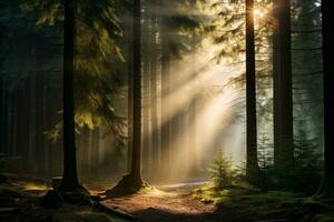 Sonnenstrahlen durch dicht Wald im Morgen. generativ ai foto