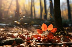 Aussicht von Herbst Jahreszeit Blatt und Pflanze ai generativ foto