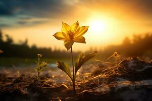 ein Blume im ein Feld mit Sonne auf Hintergrund ai generativ foto