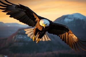 Bild von ein Adler Flug im Mitte Luft ai generativ foto