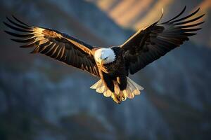 Bild von ein Adler Flug im Mitte Luft ai generativ foto