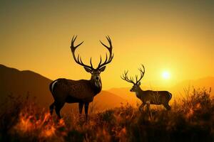 anmutig Hirsch im ein malerisch Wiese, symbolisieren Tierwelt Erhaltung Prinzipien ai generiert foto