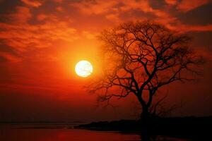Naturen abstrakt Kunst klein Sonne, Baum Silhouette, still Sonnenuntergang Schönheit ai generiert foto