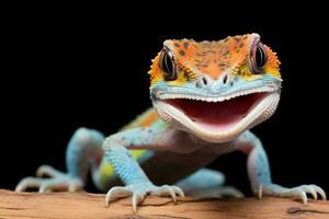 bunt tokay Gecko, bekannt zum beschwingt Blau und Orange Markierungen, tropisch Reptil ai generiert foto