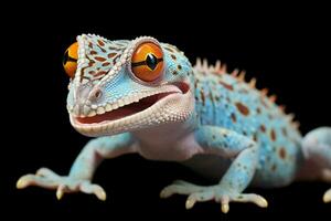 vibrierend farbig tokay Gecko, Anzeigen auffällig Blau und Orange Muster, tropisch Eidechse ai generiert foto