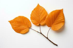 Single Blätter fallen im Herbst Jahreszeit ai generativ foto