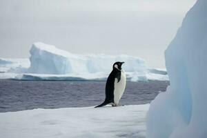 Pinguine starren beim das gefroren Meer. Pinguine beim das Stangen, Winter Konzept. generativ ai im Antarktis. foto