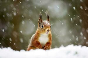 rot Eichhörnchen im das fallen Schnee. süß Eichhörnchen Sitzung im das Schnee bedeckt mit Schneeflocken. Winter Hintergrund. generativ ai foto