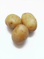rohe Kartoffeln auf weißem Hintergrund foto