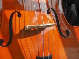 Cello-Saiteninstrument foto