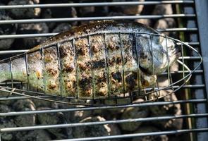 küchenfertige Dorade außer ohne Flossen und ohne Schuppen foto