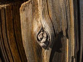 alte Holzstruktur und natürliche Holzoberfläche foto