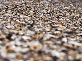 Meereskiesel und Muscheln und Sand. Textur. der Hintergrund foto