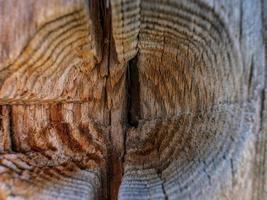 Nahaufnahme von Holzbrett Oberflächenstruktur, altes Holz foto