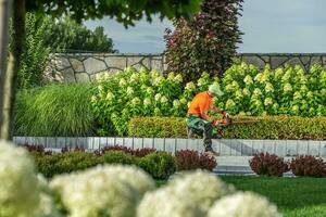 Garten Arbeiter Gestaltung Vorderseite Hof Pflanzen mit Hecke Trimmer foto