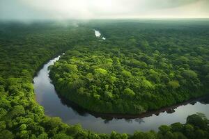 Antenne Aussicht von das Amazonas Urwald Landschaft mit Fluss biegen. generativ ai foto