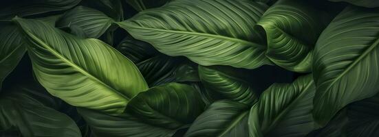 abstrakt Grün Blatt Textur mit Natur Hintergrund, tropisch Blatt. generativ ai foto
