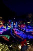 Weihnachtsbeleuchtung in Butchart Gardens foto