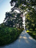 Foto von ein heiter Weg umgeben durch üppig Grün im ein schön Park