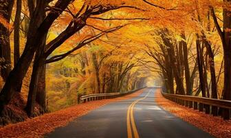 Wicklung Straße bedeckt durch ein beschwingt Tapisserie von gefallen Blätter im Schatten von orange, Rot, und Gold. hoch Bäume, mit ihr Überdachungen immer noch aussteigen mit Herbst Farben. ai generiert foto