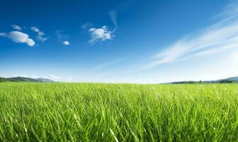 Panorama- Aussicht von ein üppig Grün Feld. ai generiert foto