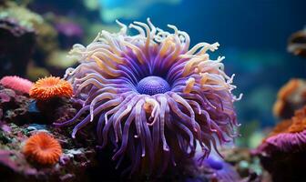 ein faszinierend Nahansicht von ein Meer Anemone. ai generiert foto