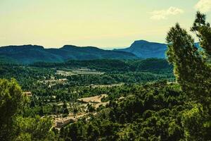 großartig Aussicht von das Berg und Wald Spanien, Pyrenäen foto