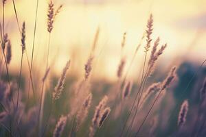 wild Gras im das Wald beim Sonnenuntergang. abstrakt Sommer- Natur Hintergrund. generativ ai foto